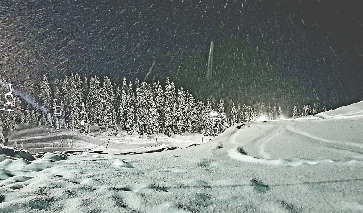 Mt_Seymour's tweet photo. Powder powder powder part II...snow angel time on Mt Seymour for the 3rd Shred For The Cause fundraiser! #mtseymour #fundraiser #bloomgrp https://t.co/bo360Z3S6K