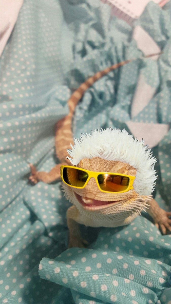 LizardxQueen__'s tweet photo. who wore it best https://t.co/FVCMVr1KJI