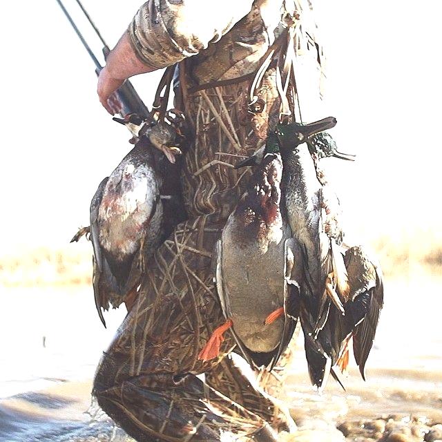 arciris_hunt's tweet photo. Hunting is LIfe!                                              Pc:@canaoutdoors https://t.co/X15gG0yVIn