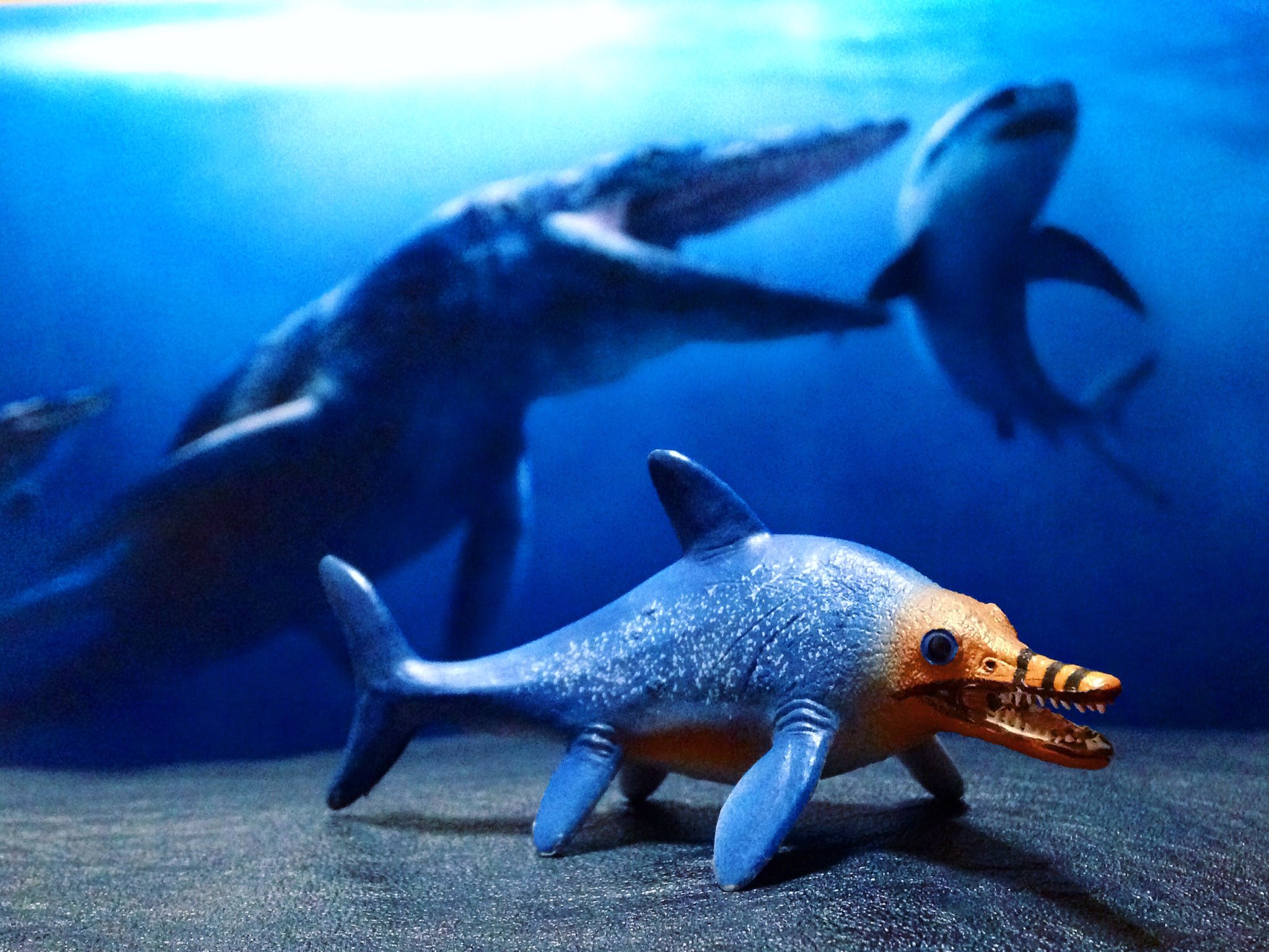 Nabeyan Twitter இல உள ள ர 海中生物 恐竜 ジュラシック ジュラシックパーク ジュラシックワールド イクチオサウルス モササウルス T Co Pe7zphr7od Twitter