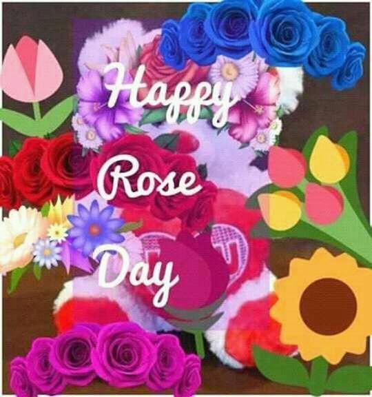 AshnaGiri's tweet photo. Happy rosday  alll  frnd ☺😊😀😁😃😄😐😕👑🎡🐈🐩🐀🐁🐰🐇 https://t.co/mD0S5mihDH