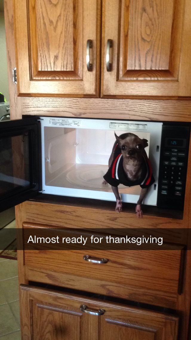 Billy_grothe's tweet photo. R.I.P. To Yao, the best dog ever, I'm sorry I tried to cook you on thanksgiving😓😭😢 https://t.co/Rs6zjnrzqk