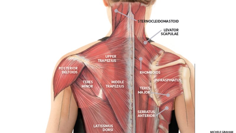 Yoga_Journal's tweet photo. Here, 3 ways to use #yoga to release neck tension. #yogaforneckpain #techneck #noslouching https://t.co/djQvVrcq0E https://t.co/Z2CGyijJui