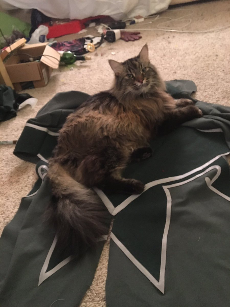 ConquerorAscot's tweet image. I&apos;m HELPING.