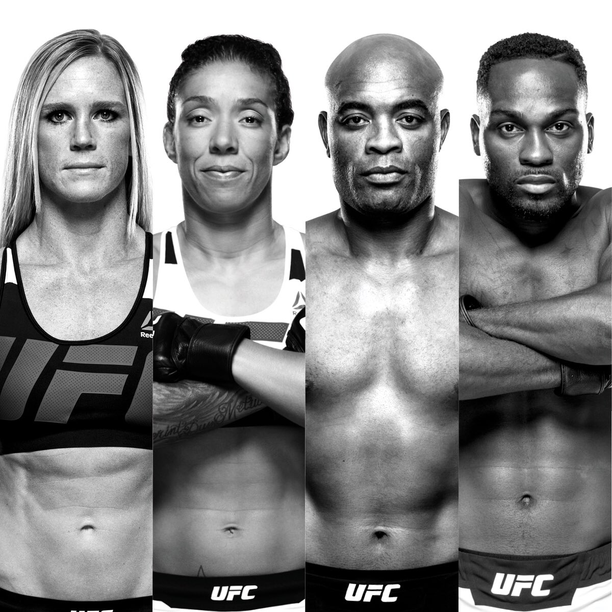 danawhite tweet media