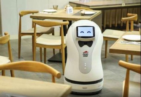 bennettcarolin7's tweet image. Companies in which Robots are taking over #technology #technologybless #robots #programming #news #technews 
msn.com/en-in/money/ph…