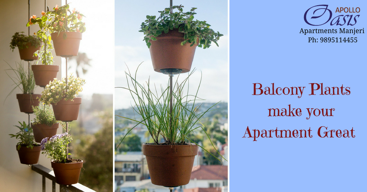 apollobuilders_'s tweet photo. Make your Apartment Green...
#balcony_tips
#apartments_in_malappuram
#Apollo_oasis https://t.co/SoHmqOQs2t