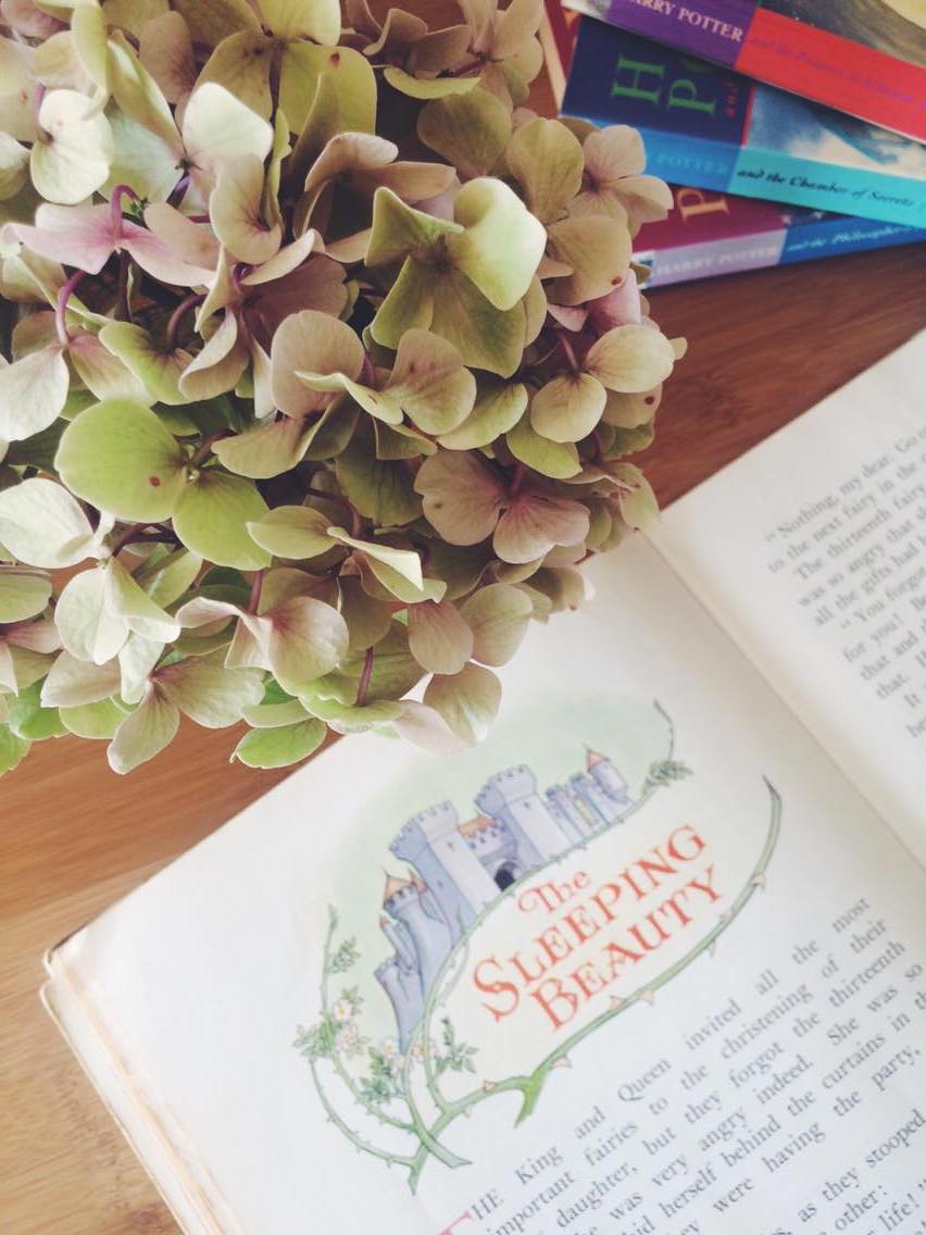 Rach_ONeill's tweet photo. New blog post | How To Grow Your Love For Reading #book #blog https://t.co/lBQ9N5c5Hg https://t.co/0KVroHjhdy