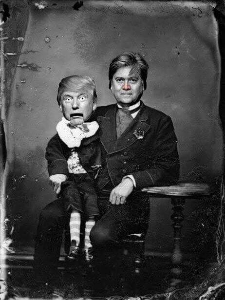 SocialBeastie's tweet image. The real Donald Trump.