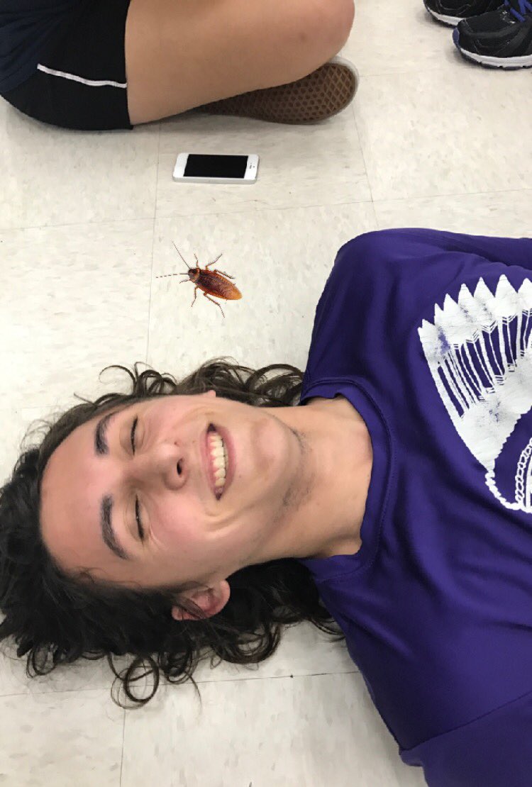 the band pacer almost killed me but i came to support these greasy humans