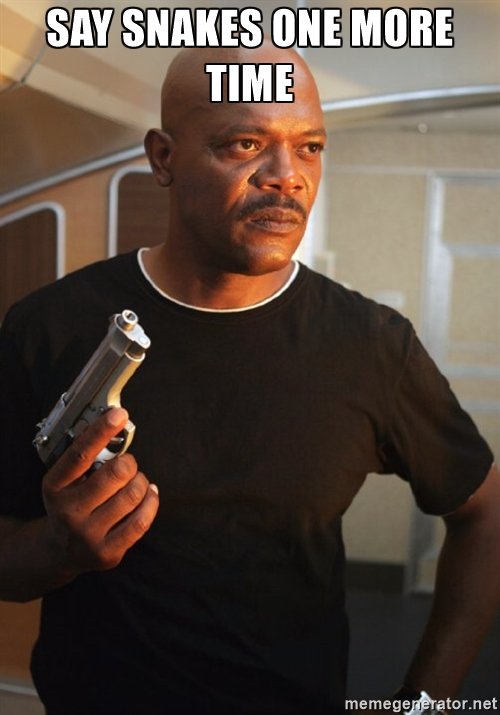 termitesPerth's tweet image. Snakes on a plane? Well how about in your guitar? #snakes #pestcontrolPerth #snakesonaplane bit.ly/2ljw162