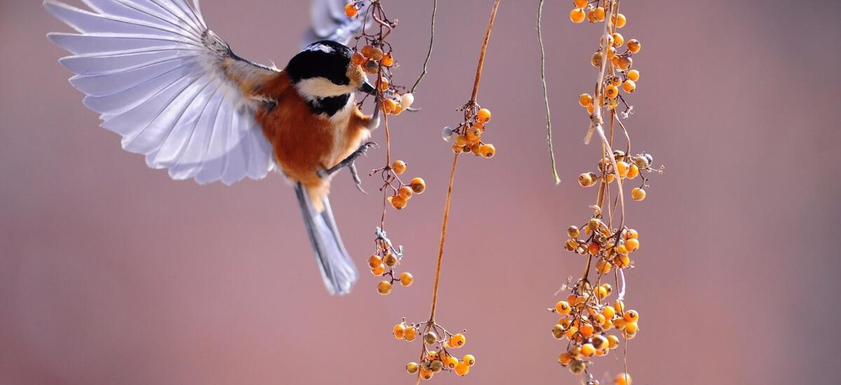 How to Make a Blockbuster Twitter Video for Business bit.ly/2kJhTF3