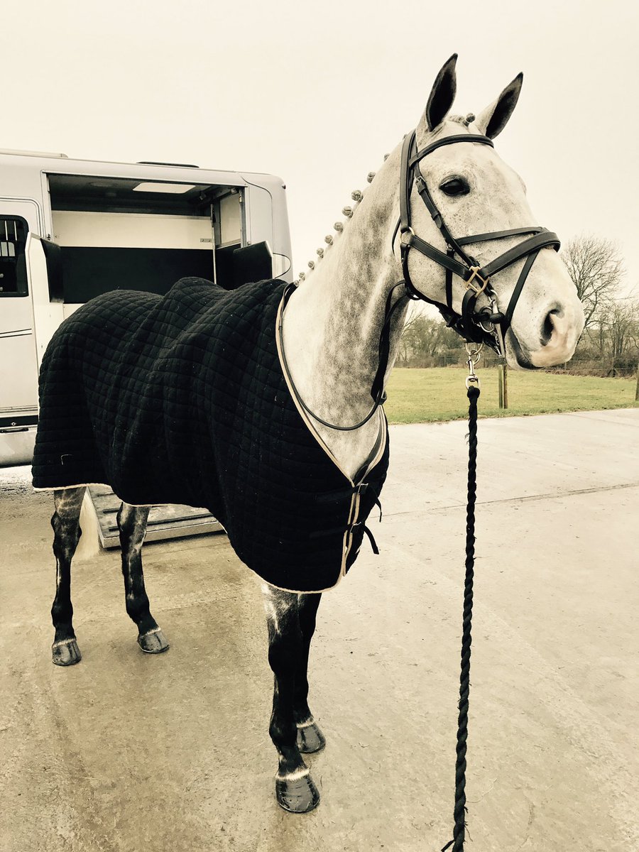 izzygrace1's tweet photo. Solid Silver all set for his final day hunting with @matttrevheath and @bicesterwhaddon before Eventing starts again!
FOR SALE! #gentlegiant https://t.co/NamEXppqF8