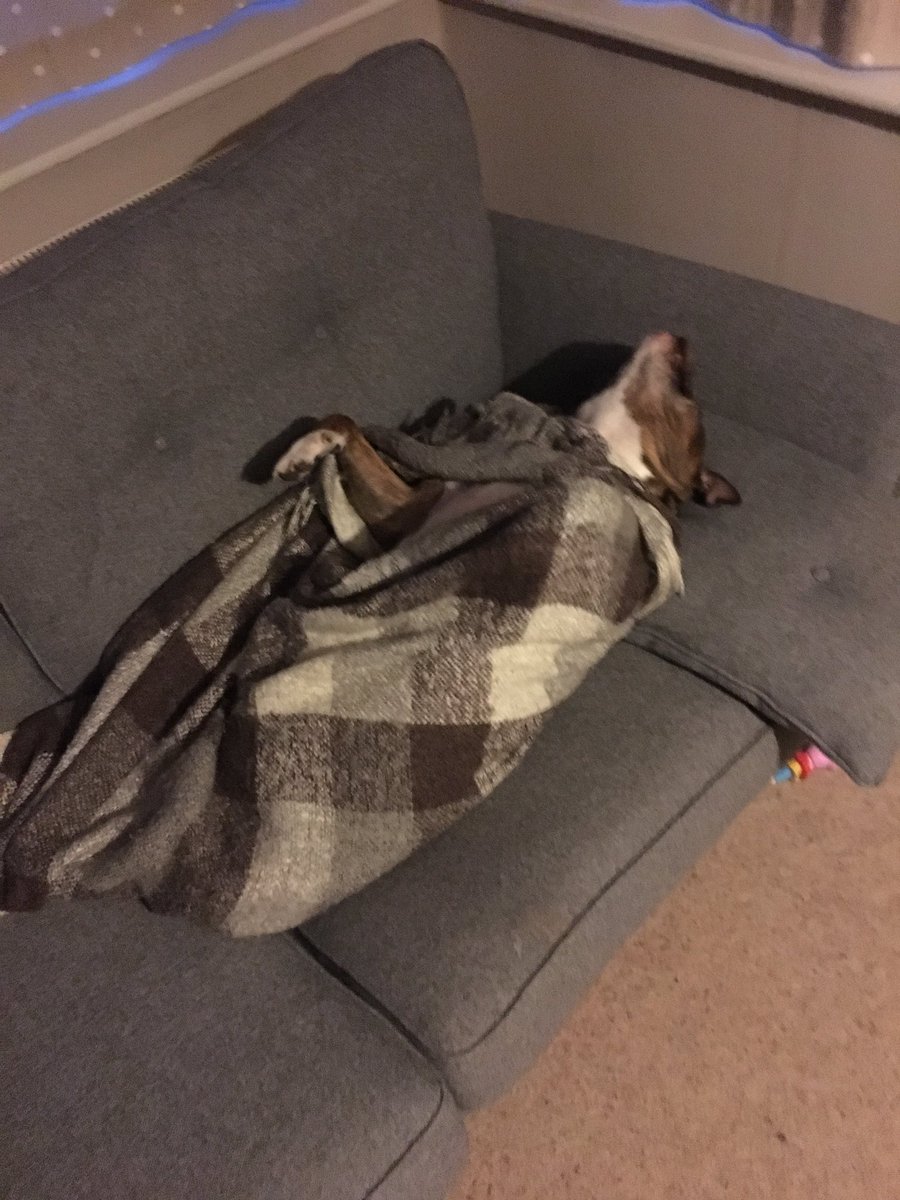 After a tough night it's important to rest up