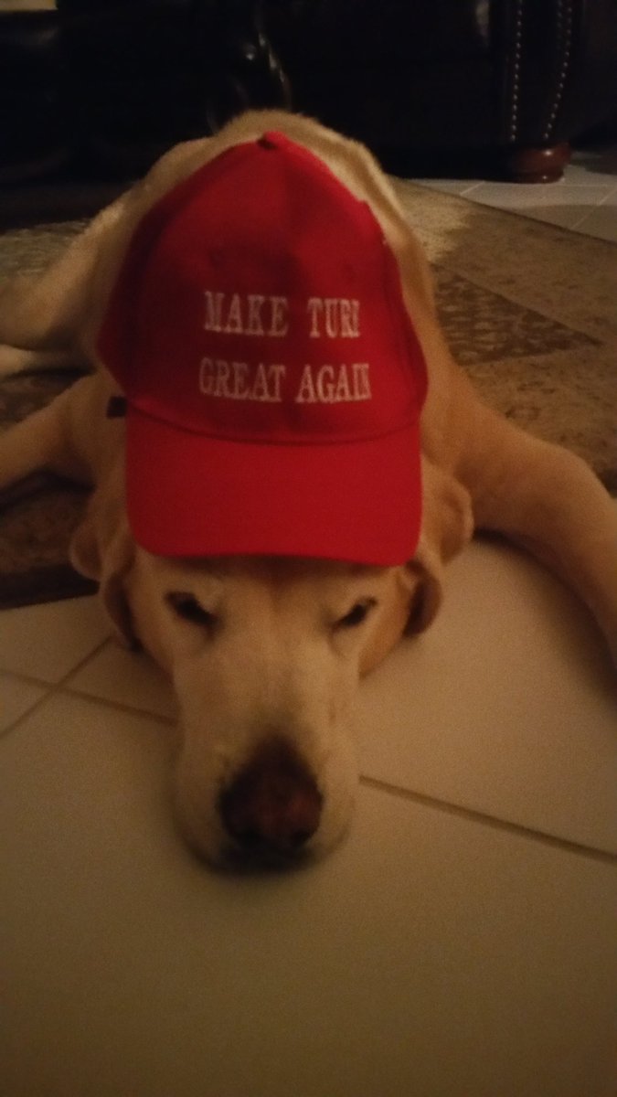 EGTurf's tweet photo. Getting ready to head to Orlando for GIS @GIS_2017 #GIS17. Bouncer the  Essential Green mascot sporting his #MakeTurfGreatAgain hat. Bth 417 https://t.co/Qilq9q7GXH