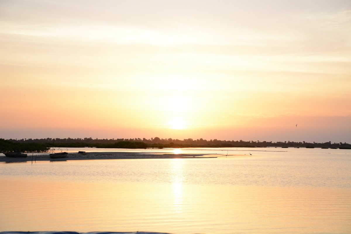 VisitDestinationSen tweet media