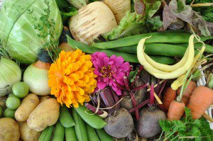 Really happy to add the fabulous #organic produce from <a href="/GrowinwithGrace/">Growing with Grace</a> to the menu bit.ly/2kCulVr