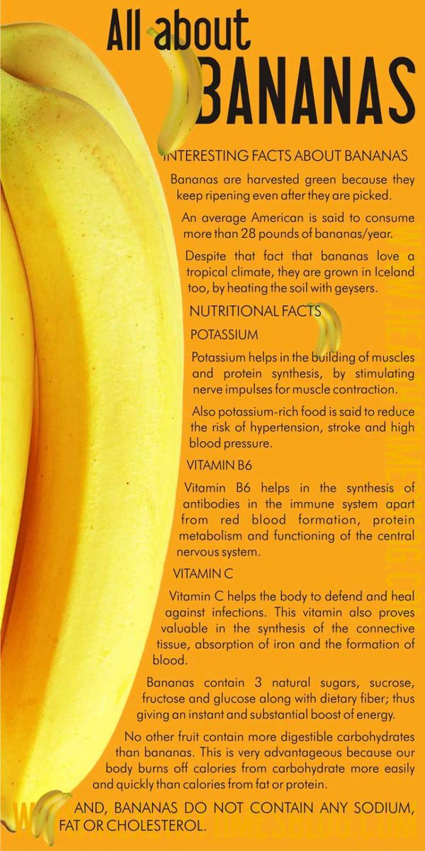 bayleafbotanics's tweet photo. 10 Health Benefits of Bananas | Pinch of Health https://t.co/dWPM4d9Ahe https://t.co/meszrbwUvx