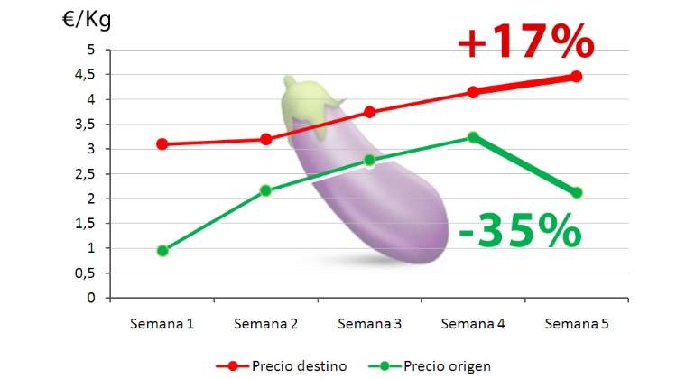 elEconomistaes's tweet photo. "Alguien se está forrando": las hortalizas en origen se desploman, pero pagamos el calabacín a 4 euros https://t.co/yDNQ8RY9eo https://t.co/IC3SgMbgdP