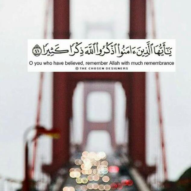 ELHAM ELSHIKH (@elshikhelham) on Twitter photo 