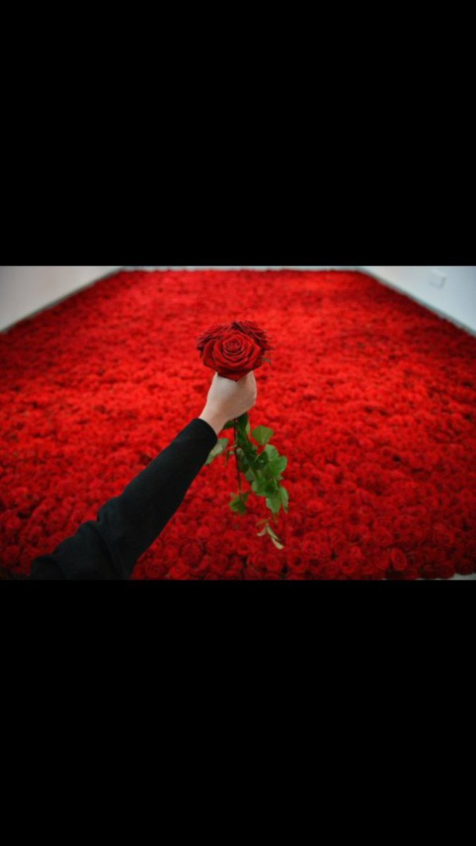 M__A__Q1's tweet photo. لاتكذب لجذب الناس إليك 
وكن صادقا 
حتى ولو كان 
الصدق يبعدهم عنك 
فالصراحه مع نفسك 
ومع الآخرين أكبر مكسب https://t.co/uPdUCLnirw