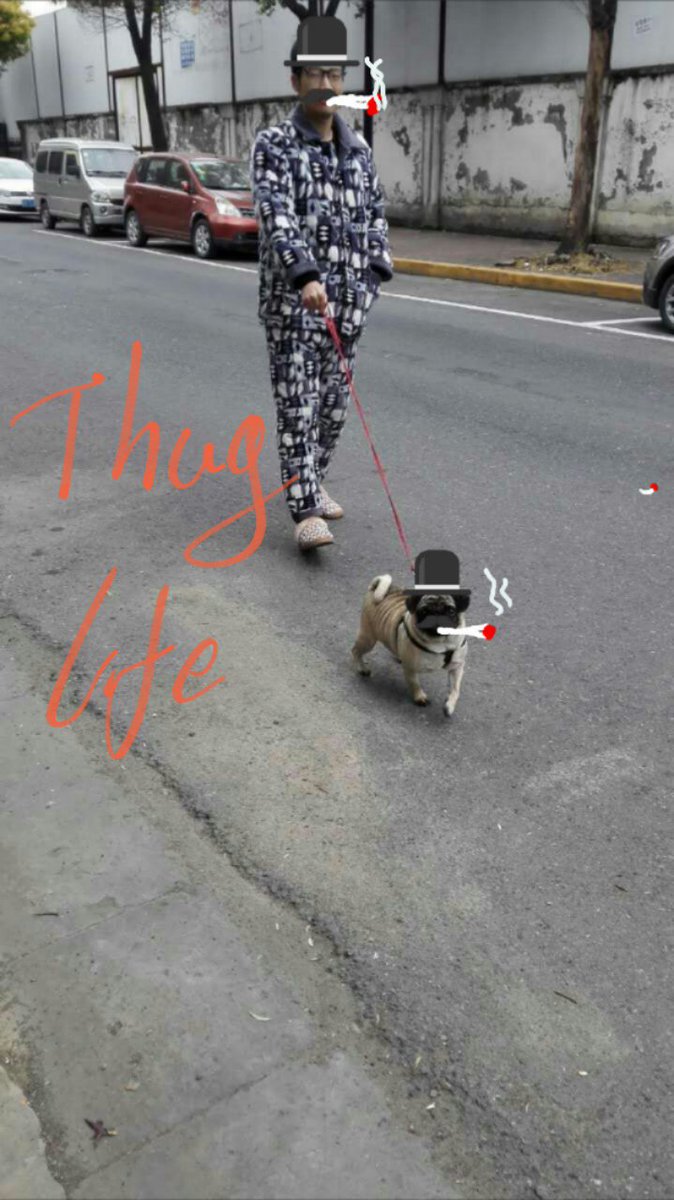 TakhashiFeather's tweet photo. Walking down the street😎 https://t.co/tJk5kHojf3