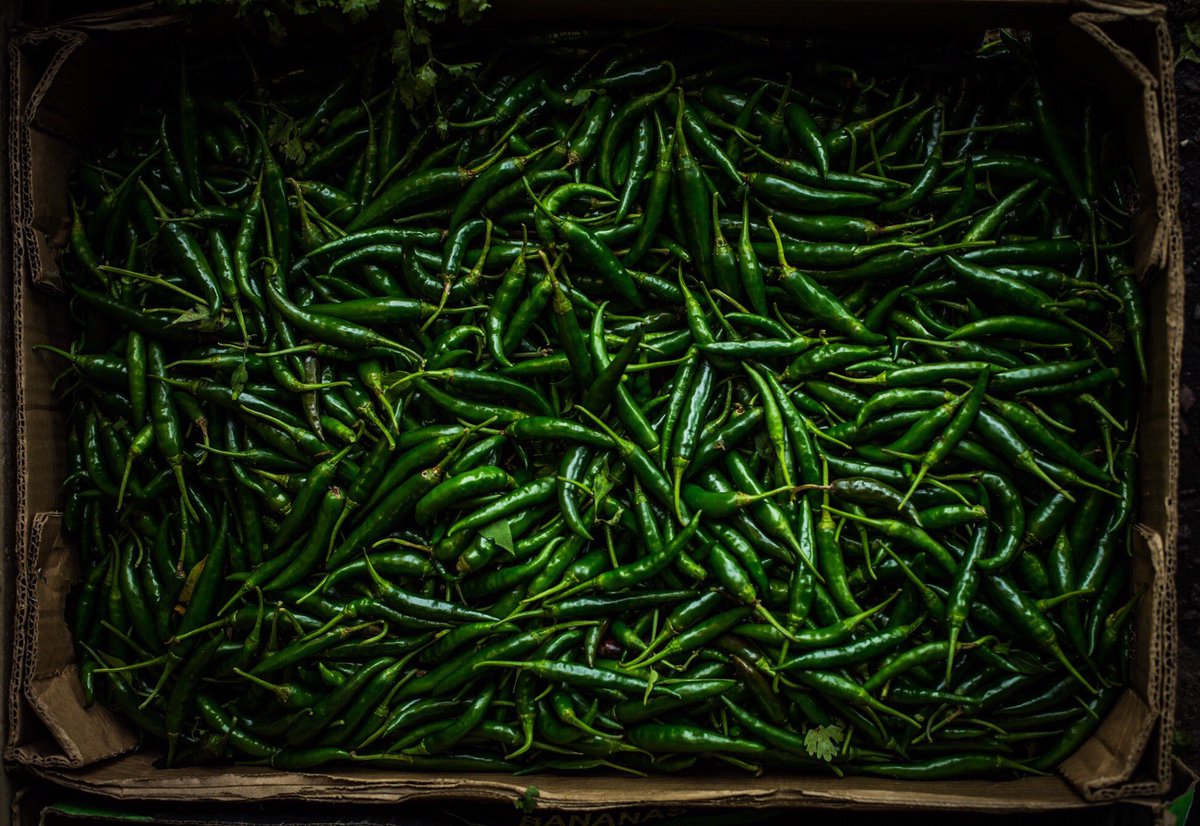 RKitchenSA's tweet image. Fresh delivery at the #RKKitchen! #DurbanSummer's been bringing the heat like these green chilis *puts chilli sauce making gloves on* 🌶🌶