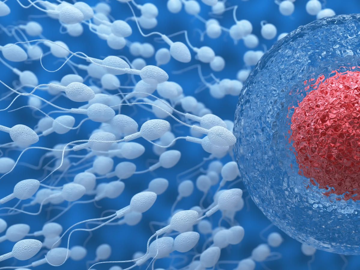 Yes, it takes two to make a baby. What to expect from a male #Fertility test: buff.ly/2kqTS3N  #TTC