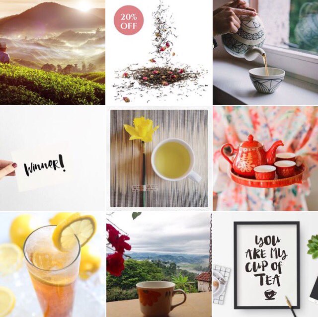 innatureteas's tweet photo. You can also find us on #Instagram. Join us at https://t.co/6q4l33bAMl for all the latest news &amp; all-round tea inspiration #InNatureTeas https://t.co/30FQbFP5jJ