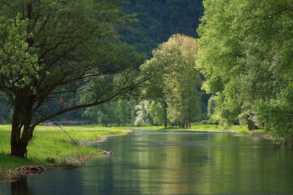 NatureCroatia's tweet photo. River Gacka , Lika region - https://t.co/jZQHV6FAQh @TZGOtoca @velebittravel @VisitCro @VisitCroatiaTCJ https://t.co/eOFBS15iJf