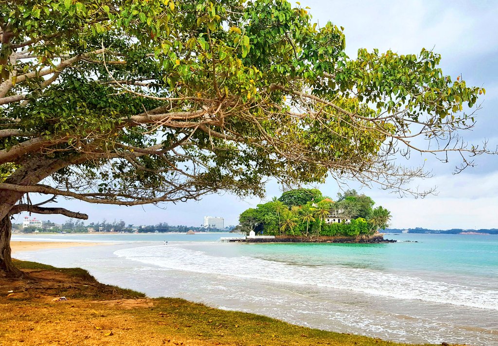 jmin89's tweet photo. There are little pieces of heaven on earth ❤ #TravelTuesday #travelblogger #travelphotography #globetrotter #lobelyplanet #srilanka https://t.co/Iv8hTd83Bm