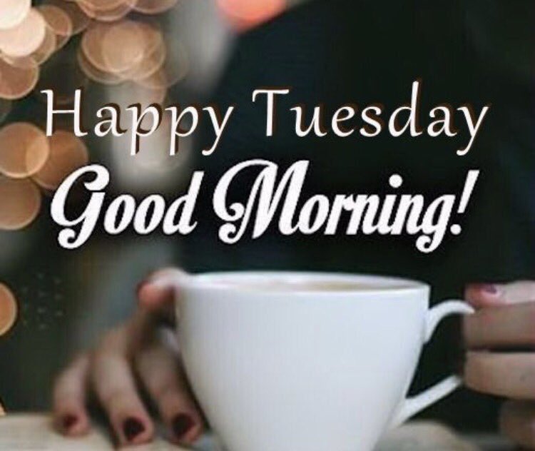 PureMuswell's tweet image. Last chance to grab our £0 joining fee. Use code ZEROJF #muswellhill #london #gymdeals #puregym #motivated