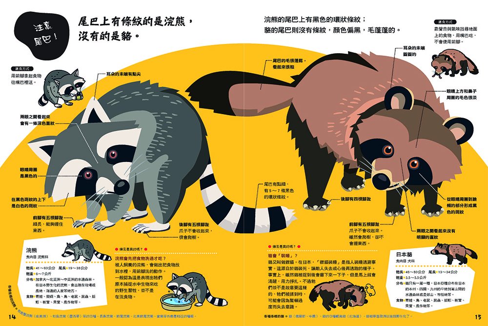 در توییتر 底下留言的說是浣熊 一丘之貉什麼的 去查詢了一下 子瑜說是 貉 就是日本狸貓 因為是黃色的呀 人家子瑜說是 貉 就是 貉 沒啥好糾正的咩 貉和浣熊的差異 T Co Gln2hxn7e9 T Co Tjtr0k1jwa