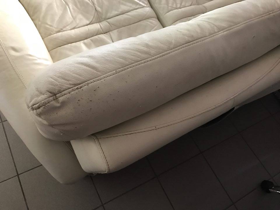 974attitude's tweet photo. Vente d'un canapé de #relaxation très confortable. RT SVP #vente974 #lareunion https://t.co/q8Q302QQd2 https://t.co/470MUFQB6P