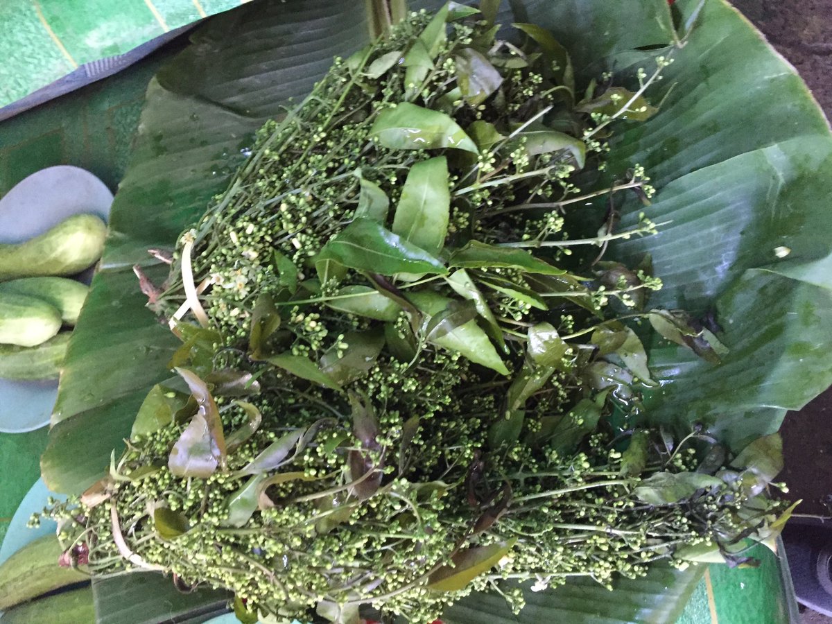 Local Herbes#welcome to Chiang Mai