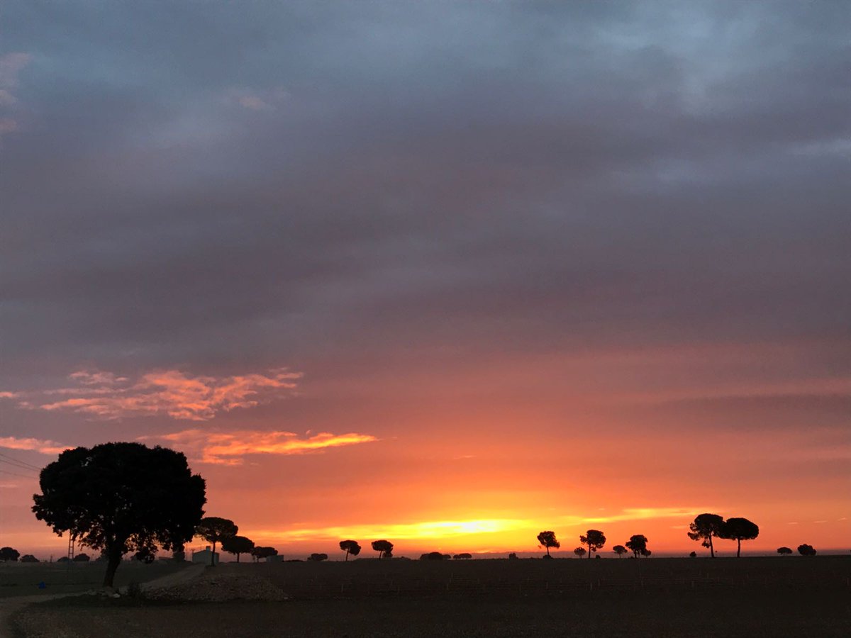 Resultado de imagen de amanecer en la mancha