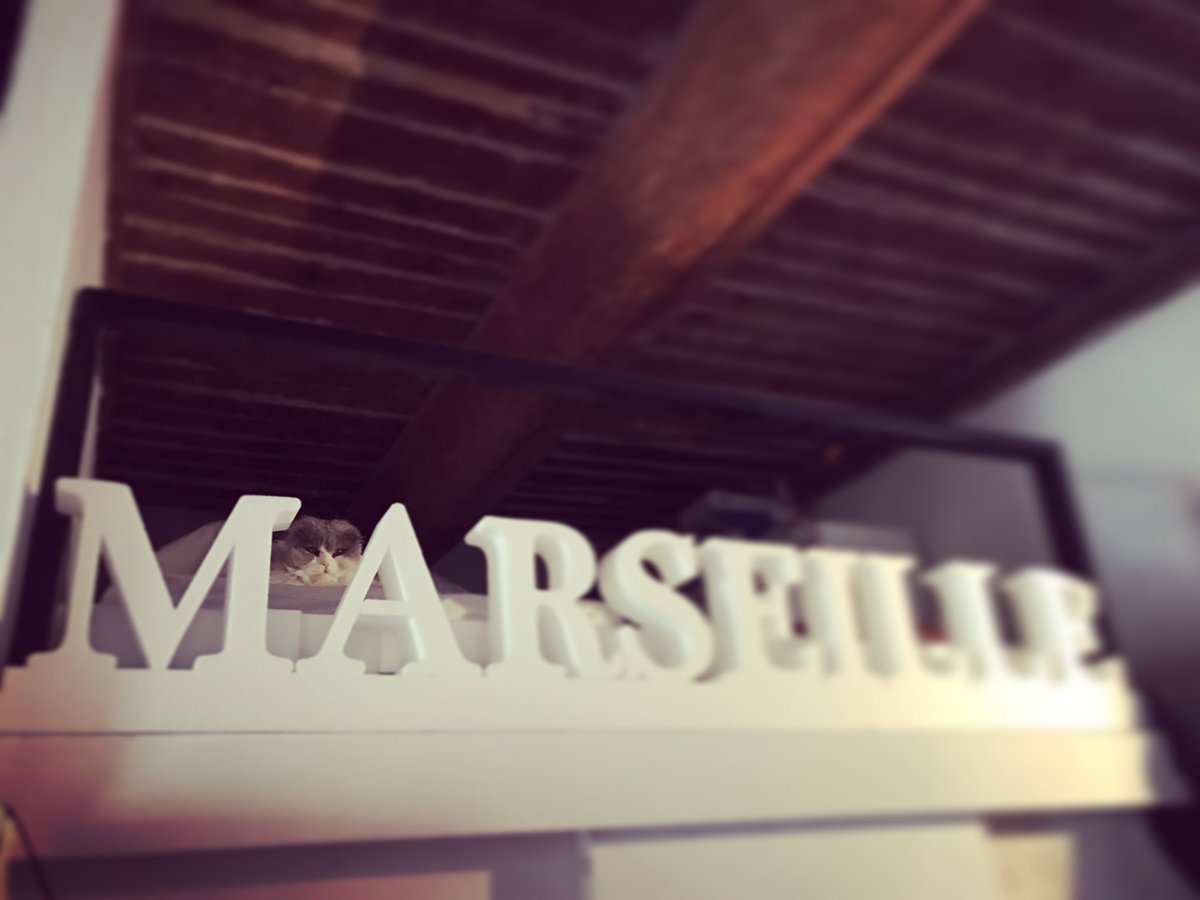 SparkRelations's tweet photo. Trouvez #CharlieJack #mascotte #bienêtreautravail 🐱🐱🐱 https://t.co/PAk4pYxnA1
