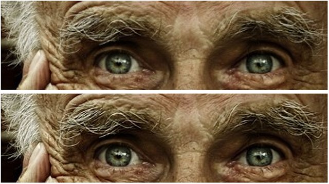 Amateur Photographer tweet media