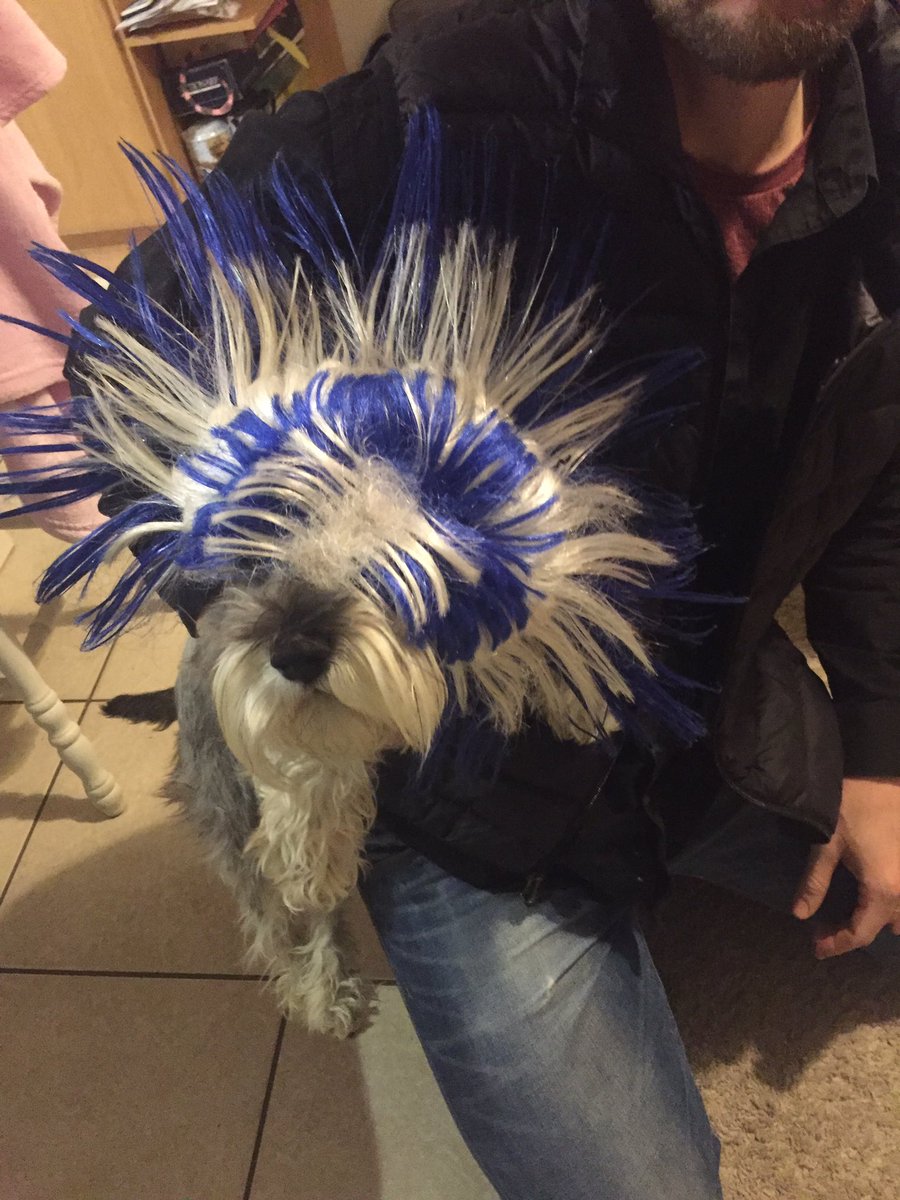 EllieBiele's tweet photo. Over at @PixBeatPhoto we're under way with building Photo Booth v2! PixBeat dog is busy raiding the props 🐶 https://t.co/SoNdXv2oDp