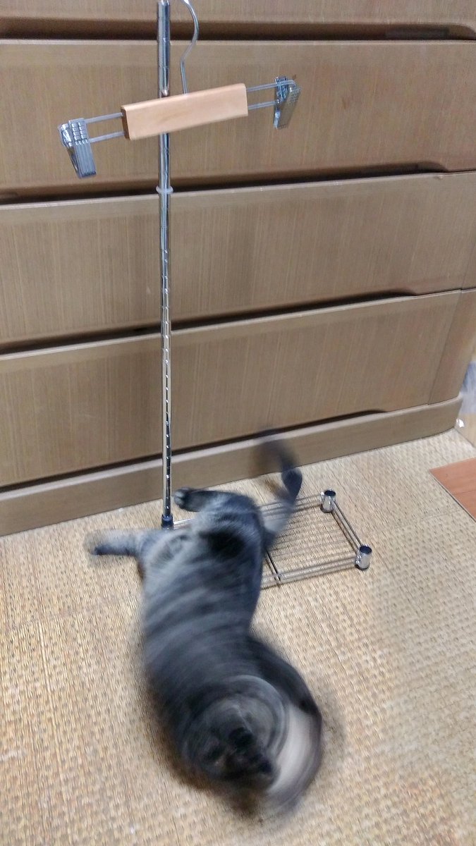 れつまるくん En Twitter 自作ポスタースタンドと高速回転ネコ