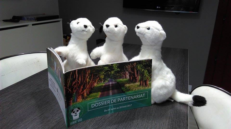 HumanRaid2017's tweet image. Hier à 19h, 3 de nos donateurs ont gagné notre mascotte ! Félicitions à Pauline &amp;amp; Arnaud, Christophe &amp;amp; Sylvie et Angélica &amp;amp; Mickael 😄