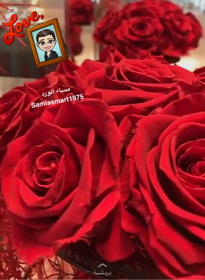 samiahighnest's tweet photo. #مساء الورد https://t.co/dpFMh7xDyA
