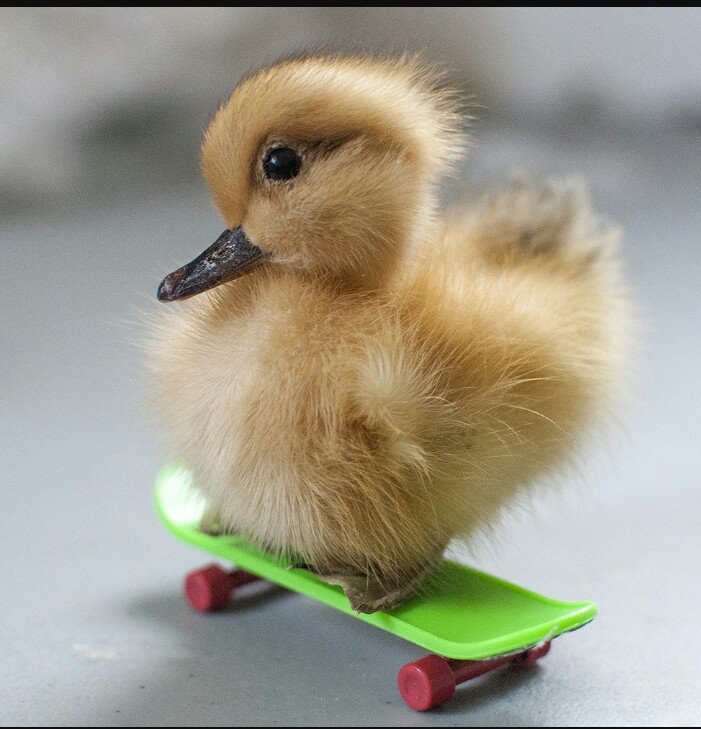 #NP <a href="/PhormixAthens/">Phormix</a> <a href="/norwell_music/">Norwell</a> FIRE  soundcloud.com/phormix/phormi…