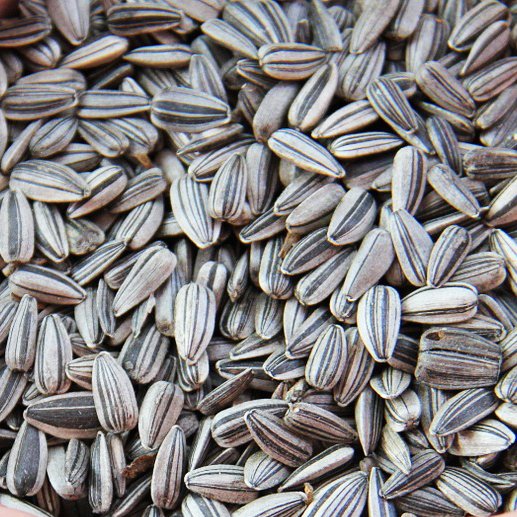 DDFskincare's tweet photo. A handful of sunflower seeds a day can keep your skin supple by protecting the top layers from damage. #DDFskincare #skintip #foodtip. https://t.co/67WJYsBz8U