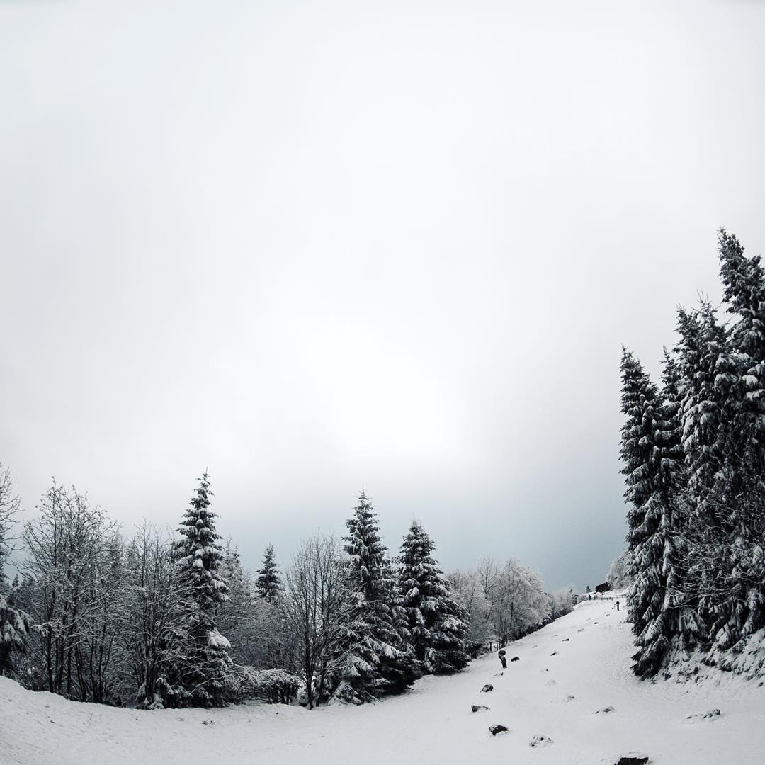 NikonFR's tweet photo. [#picoftheday] ❄️️🌲❄️️
© @aladiia
#Nikon #NikonFr #TeamNikon #landscape #nature https://t.co/sRYFlMFapf
