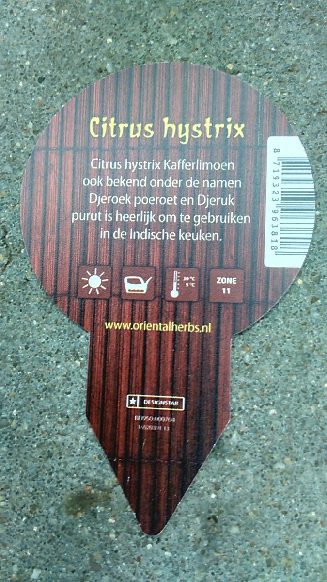 johanknaap's tweet photo. Zelf je rijsttafel bereiden met Djeruk Purut of kafferlimoen? keuze aan "eetbare tuin" planten wordt steeds ruimer - gezien op @abtuin beurs https://t.co/9Xt0eeQ17S