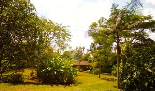 Property254KE's tweet photo. Prime Property for Sale in UpperHill Nairobi. 0.8 acres near KWFT Kshs. 360 M (neg).  https://t.co/xaze1j3sy5 https://t.co/8IREr3xlJa