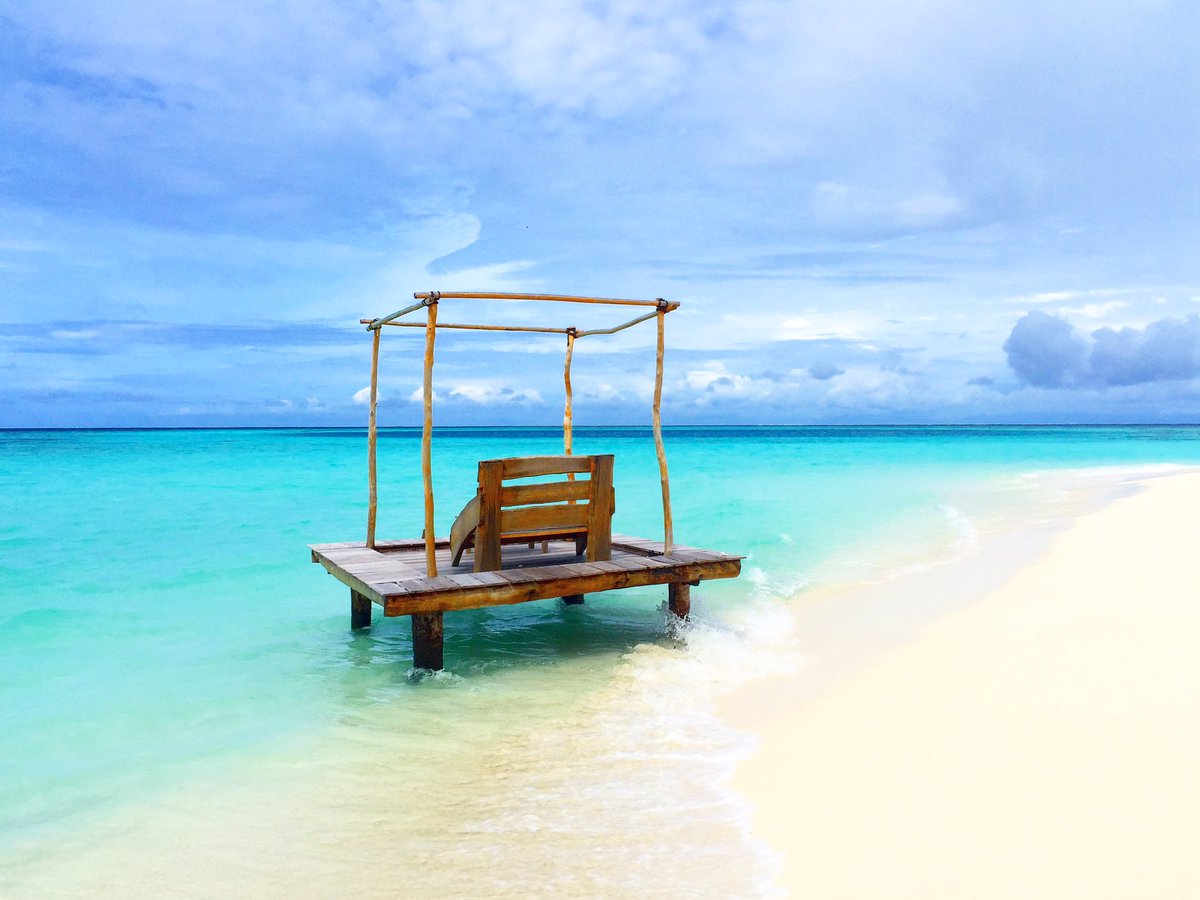 aaaVeeeParadise's tweet photo. The Paradise #aaaVeee 💚💙 

#NaturesParadise 🇲🇻
#Maldives 
https://t.co/3YfAWhonqv https://t.co/E6qPuWds2c