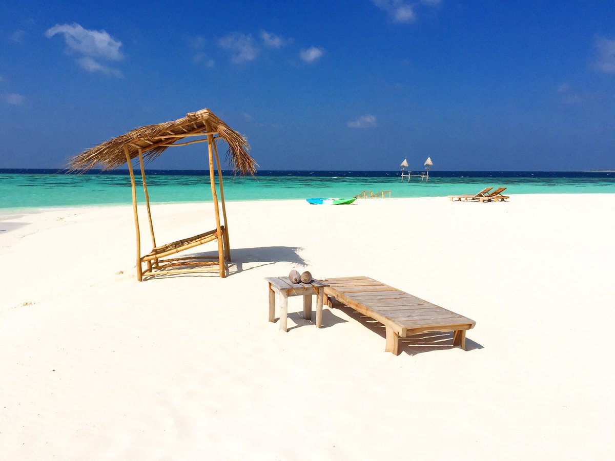 aaaVeeeParadise's tweet photo. The Paradise #aaaVeee 💚💙 

#NaturesParadise 🇲🇻
#Maldives 
https://t.co/3YfAWhonqv https://t.co/E6qPuWds2c