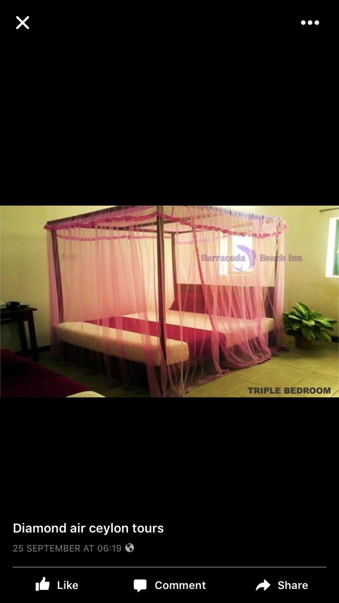 BARRACUDA BEACH INN (@methewf) on Twitter photo RENT OR LEASE
barracuda beach inn
Sri Lanka, Negombo
84,Lewis place
Beach road
Negombo
Methew@hotmail.co.uk RENT OR LEASE
barracuda beach inn
Sri Lanka, Negombo
84,Lewis place
Beach road
Negombo
Methew@hotmail.co.uk